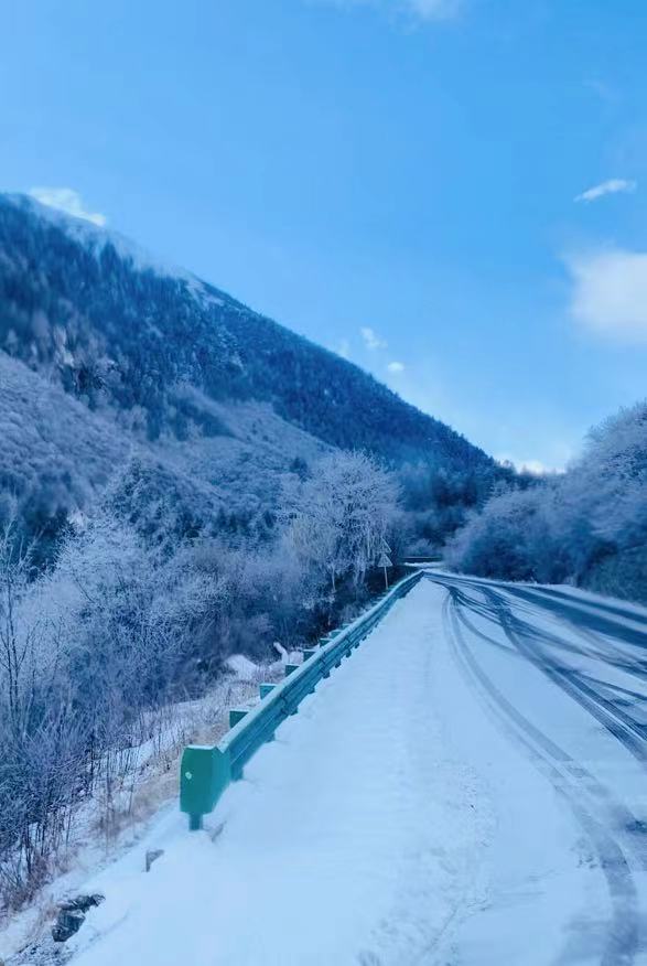 1666690977804220.jpg 1666690977804220.jpg